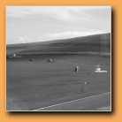 [Click to enlarge]